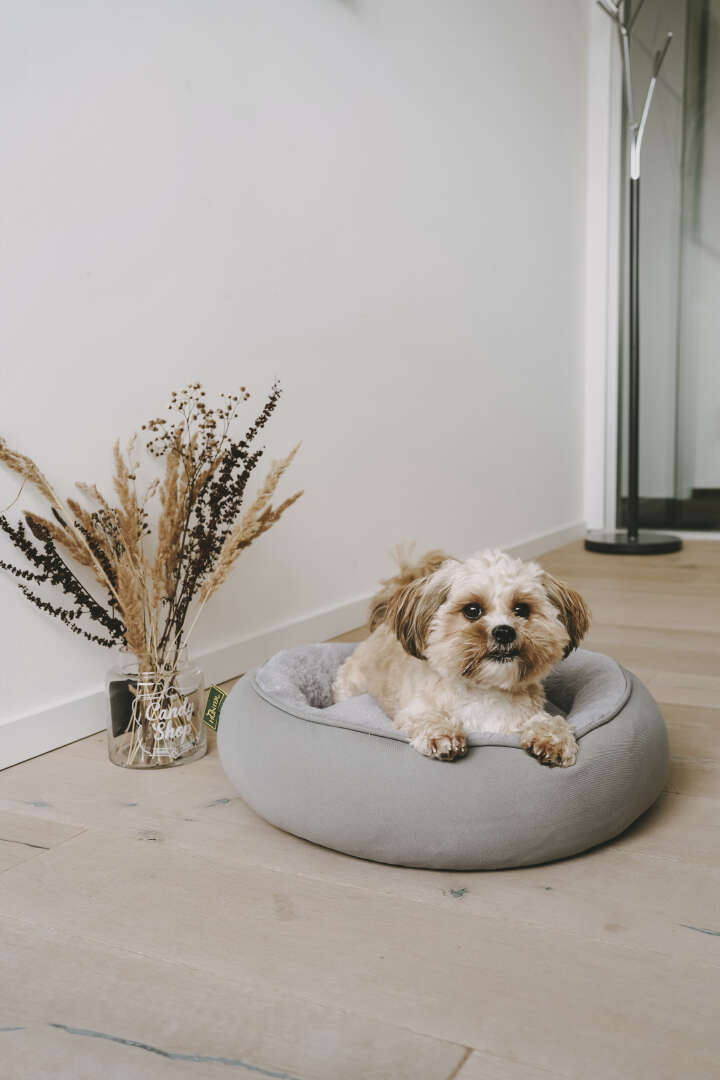 HUNTER Hunde- und Katzenliegeplatz Lincoln